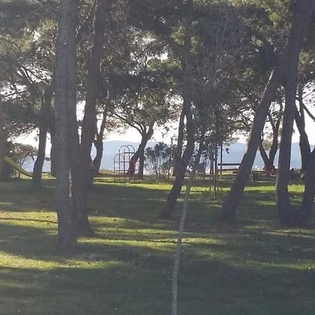 Apartman Petar Apartment Zadar Bagian luar foto