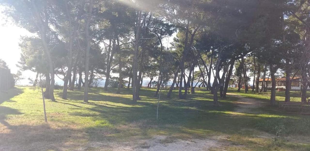 Apartman Petar Apartment Zadar Bagian luar foto